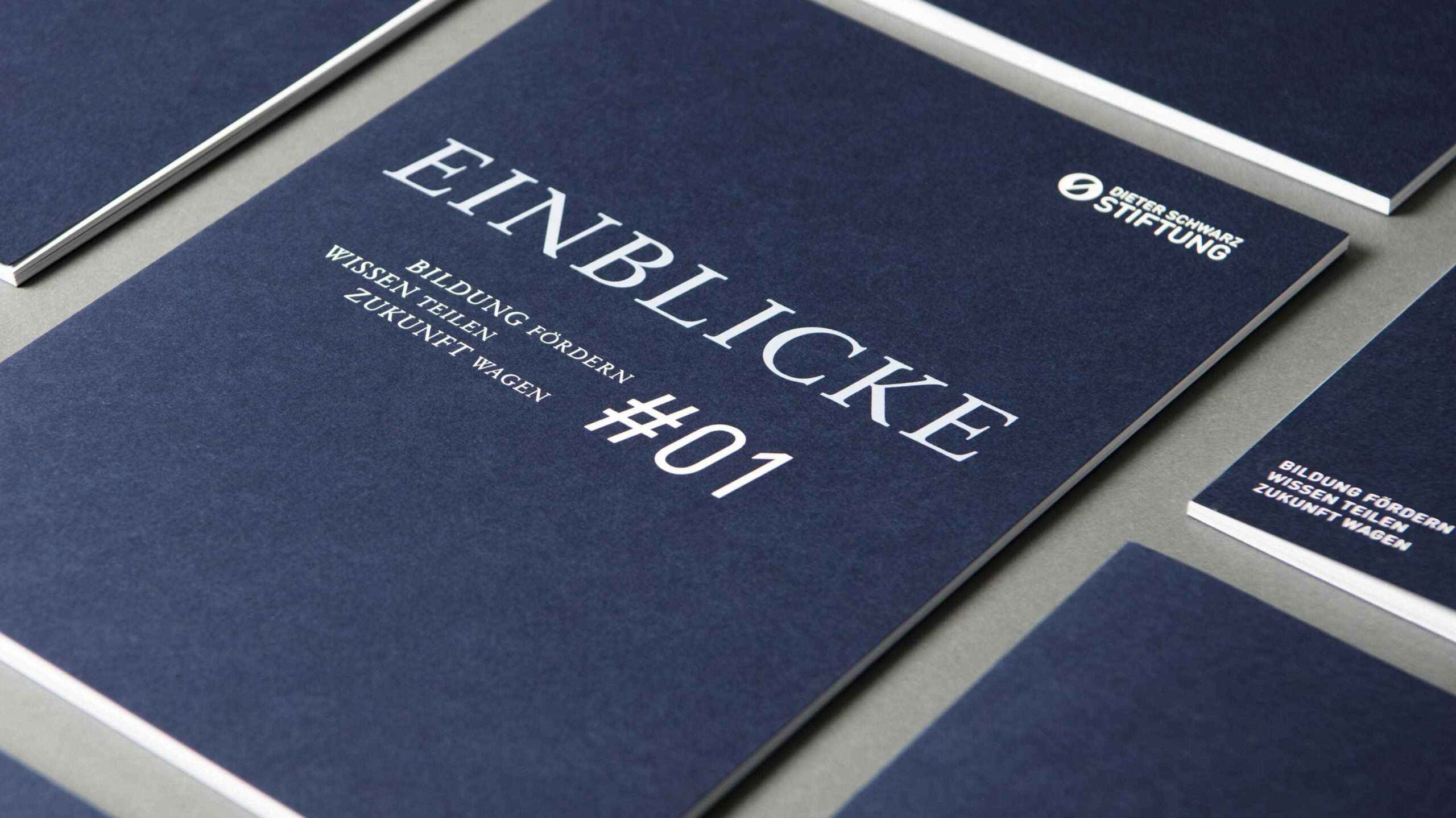 jungkommunikation_news_dieter_schwarz_stiftung_heilbronn_corporate_design_hero-banner_2018_1630x916