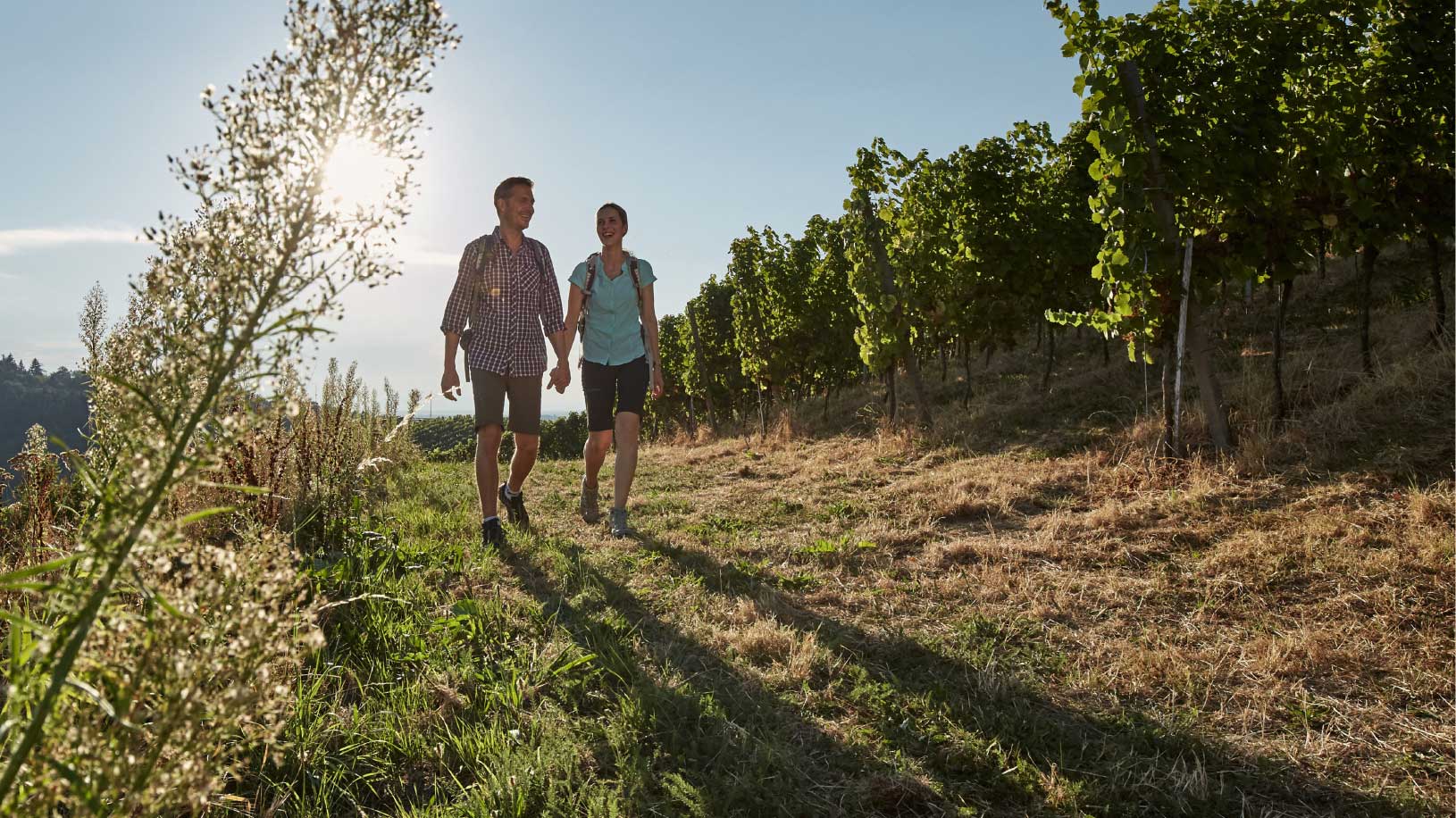 jungkommunikation_news_tmbw_imagekampagne_weinregion_baden-wuerttemberg_hero-banner_2018_1630x916