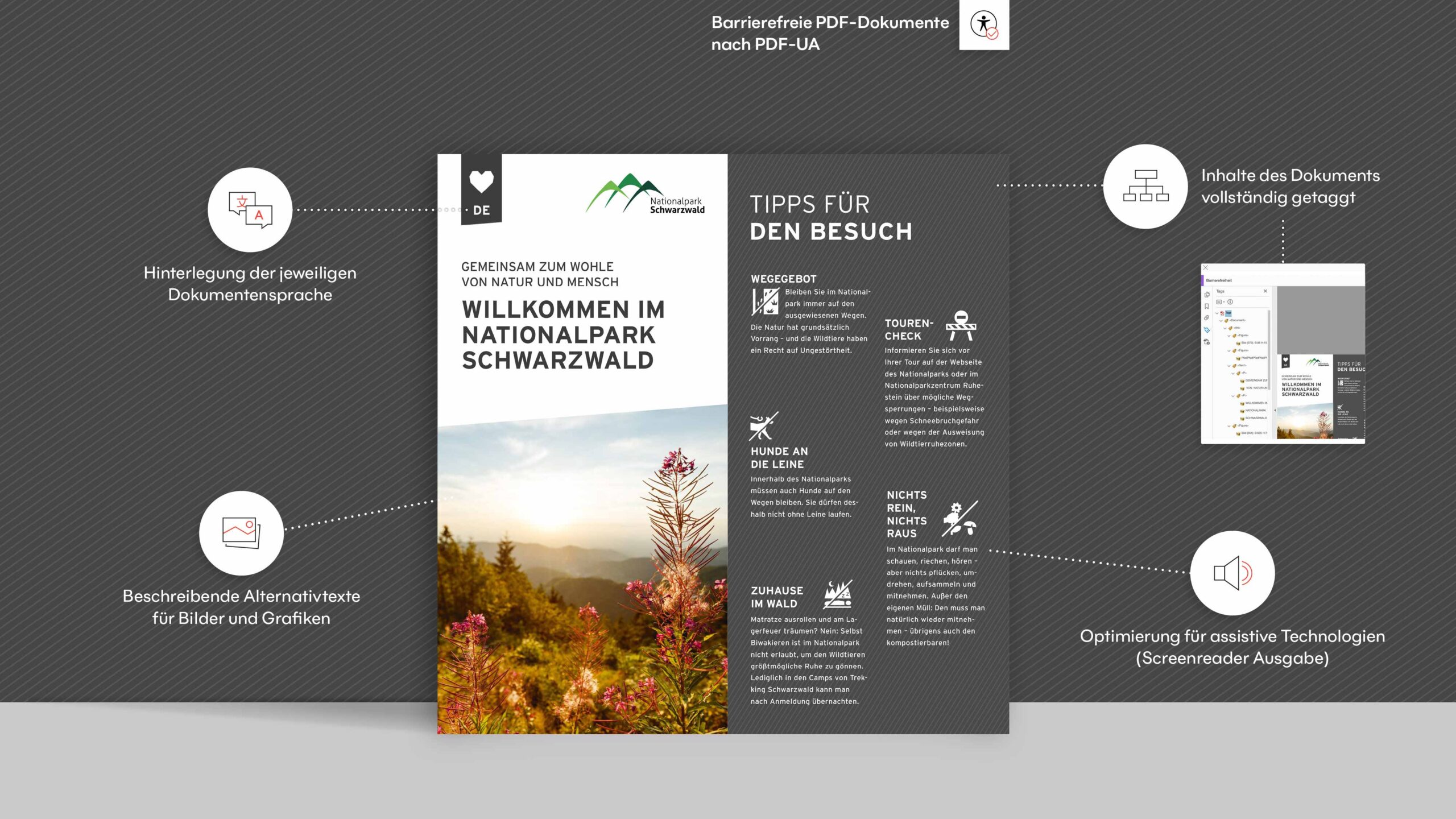 jungkommunikation_projekte_nationalpark_schwarzwald_barrierefreies_pdf_1920x1080