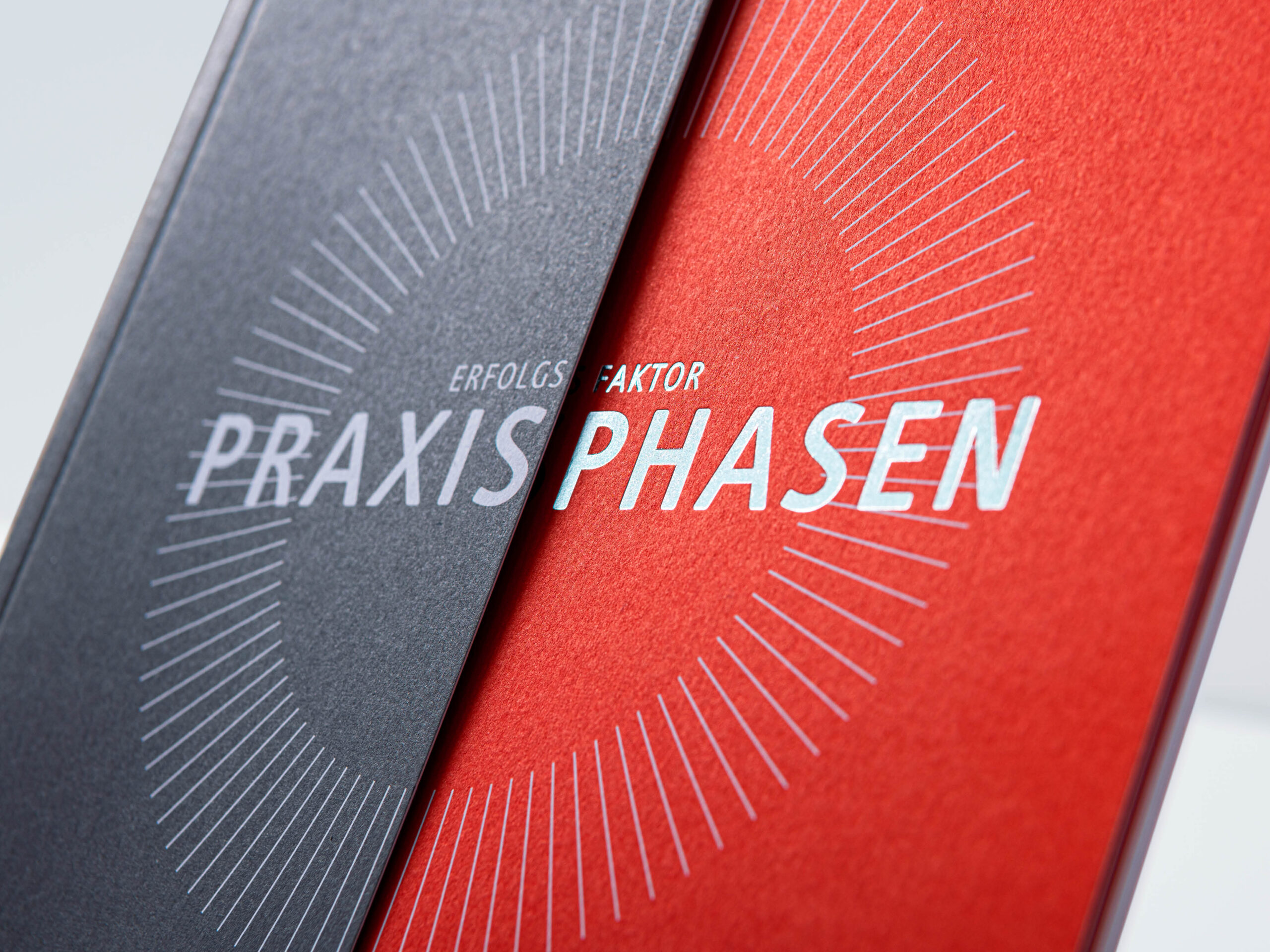 jungkommunikation_projekte_duale-hochschule-baden-wuerttemberg_DHBW_corporate-design_broschuere_1350x900-16