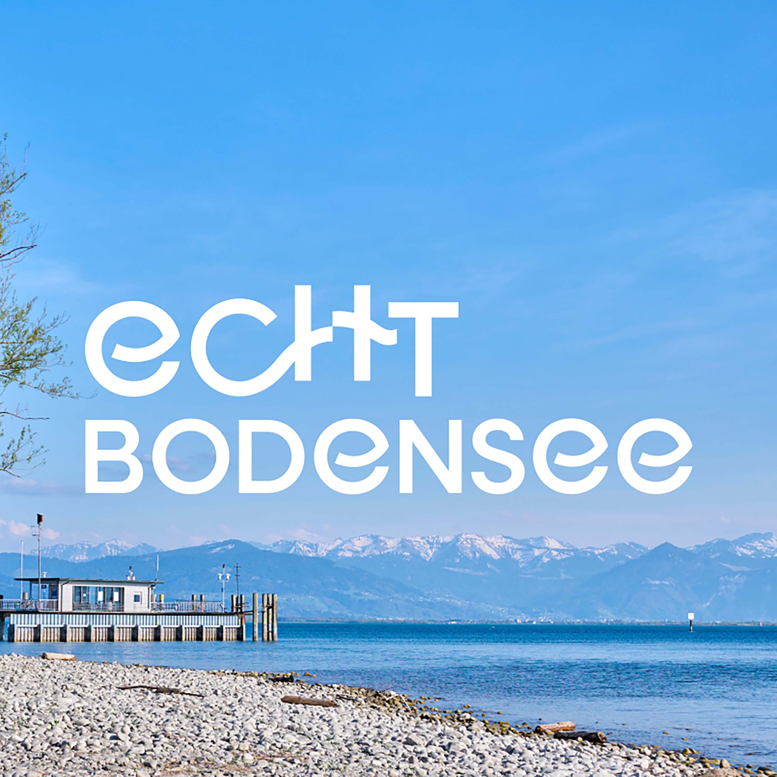 jungkommunikation_projekte_dbt_markenrelaunch_teaser_805x805